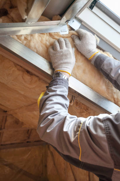 Types of Insulation We Offer in Westgate, FL