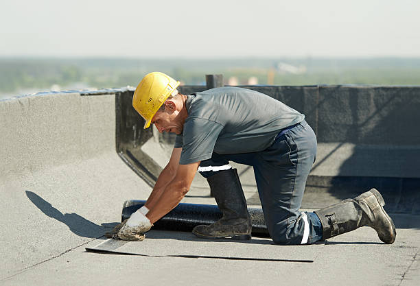 Best Energy Efficiency Insulation in Westgate, FL