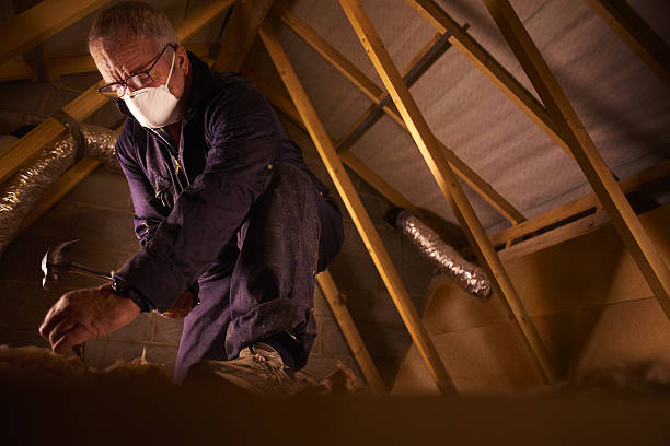 Best Fiberglass Insulation in Westgate, FL